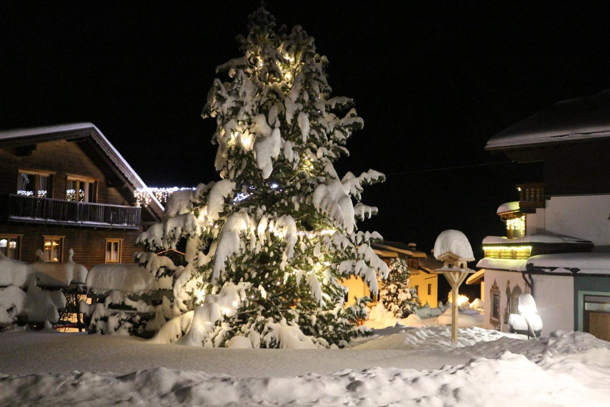 バーワング Haus Daheim Bed & Breakfast エクステリア 写真